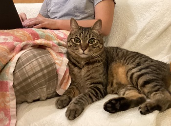 ヨーガスートラ 第２章・第１３節